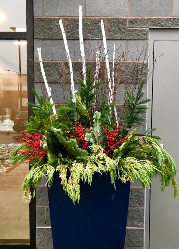 fall winter plants in a pot in front of commercial building