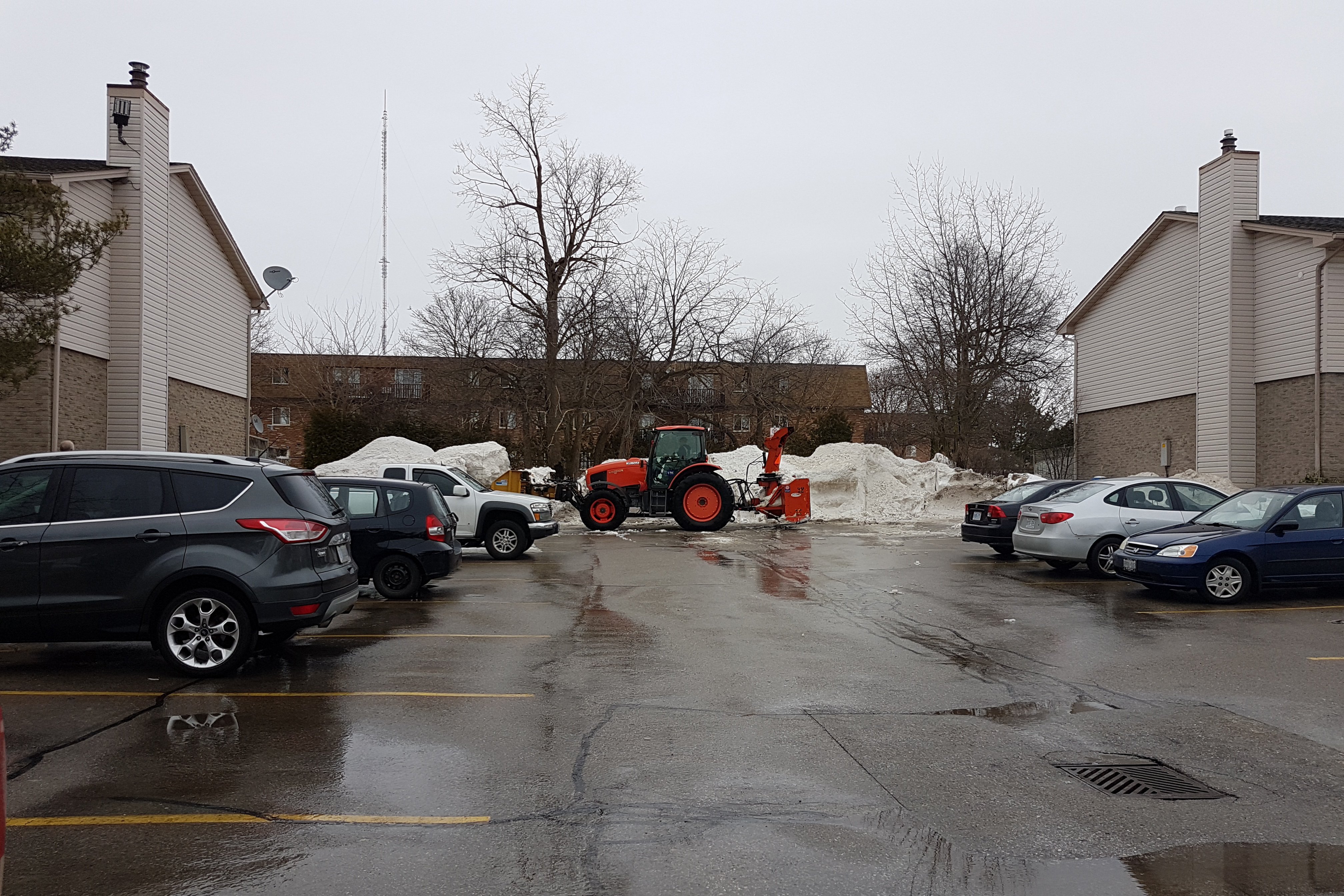 snow and ice management, salt, walkway and driveway clearing