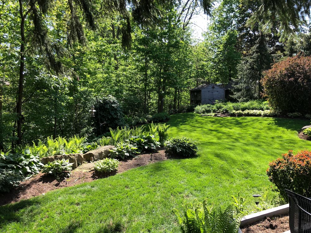 2018-05-25 16.16.48 (1)