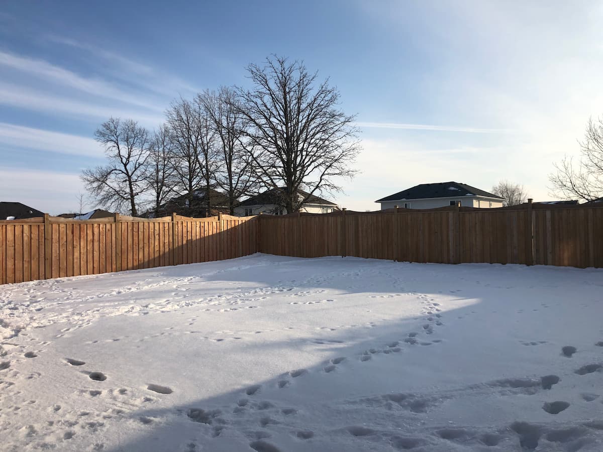 2019-02-21 16.34.46 (1)