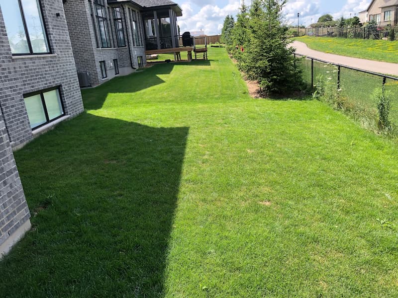 2020-07-24 11.48.19 (1)