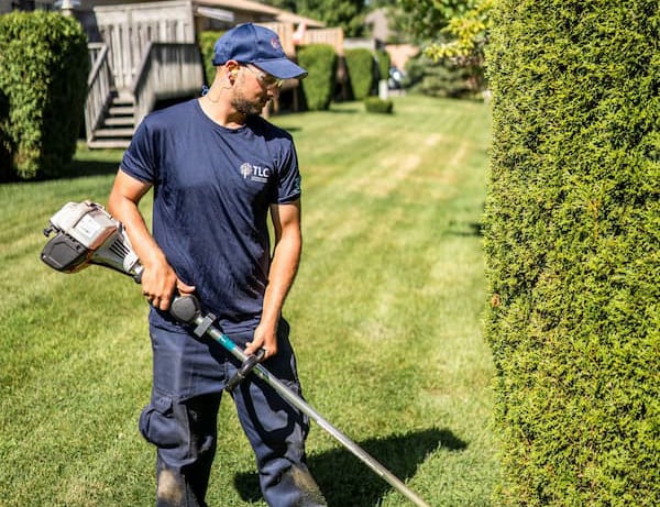 Landscape maintenance, grounds crew, trimming, edging
