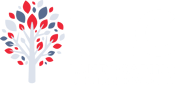 TLC Landscaping Design & Pools