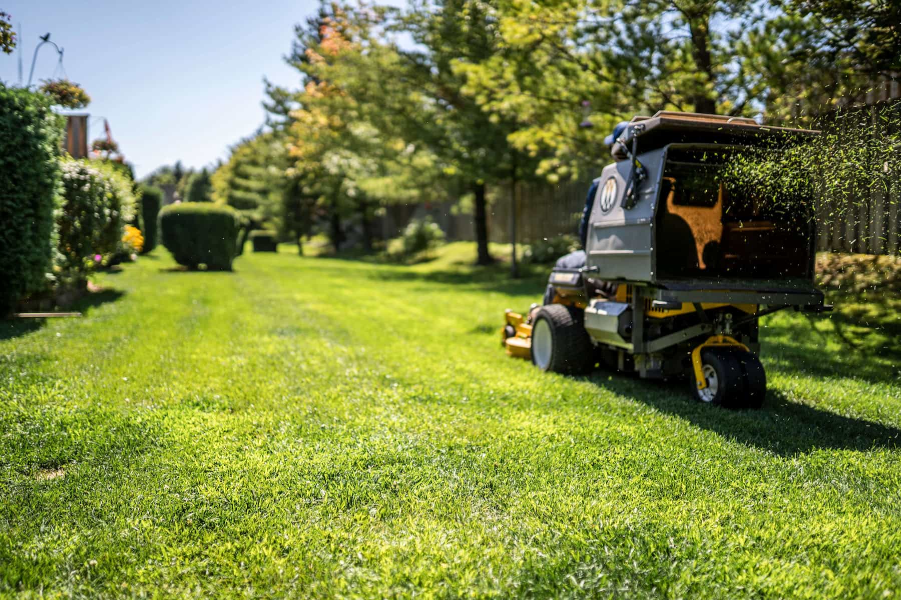 commercial-condo-grouds-care