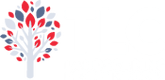 TLC Landscaping Design + Pools