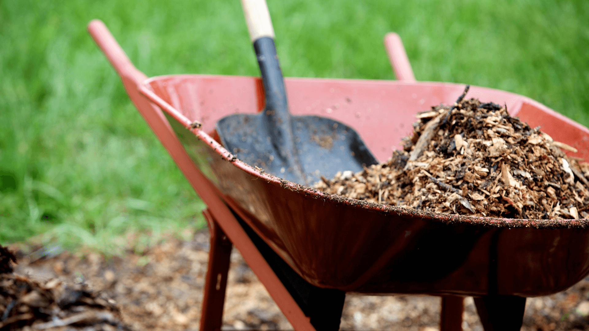 what are the benefits of mulching